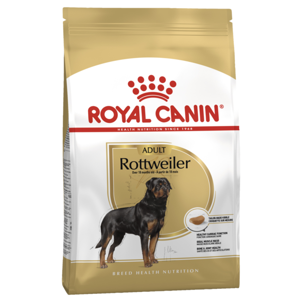 Adult Rottweiler