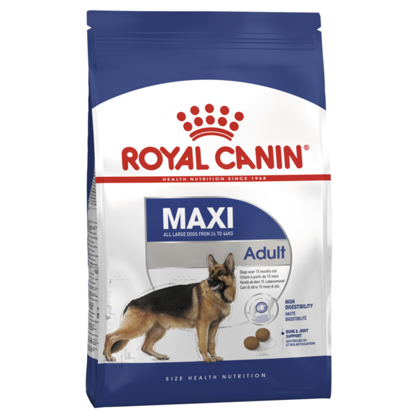 Maxi Adult Dog