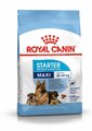 Maxi Mum & Pup Starter