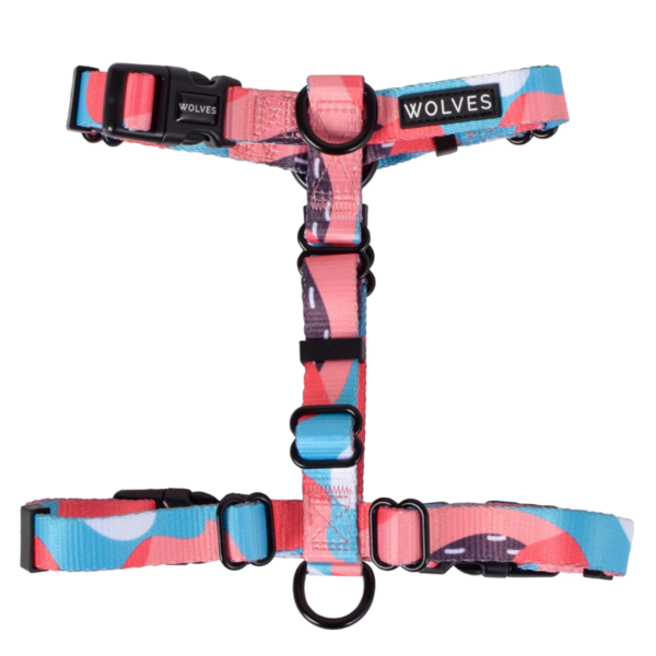 Floss All Purpose Harness 2.0