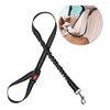 Shock Proof Car Leash