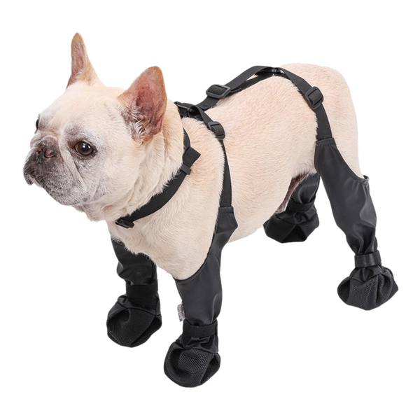 Paw Protection Harness