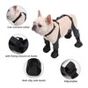 Paw Protection Harness