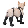 Paw Protection Harness