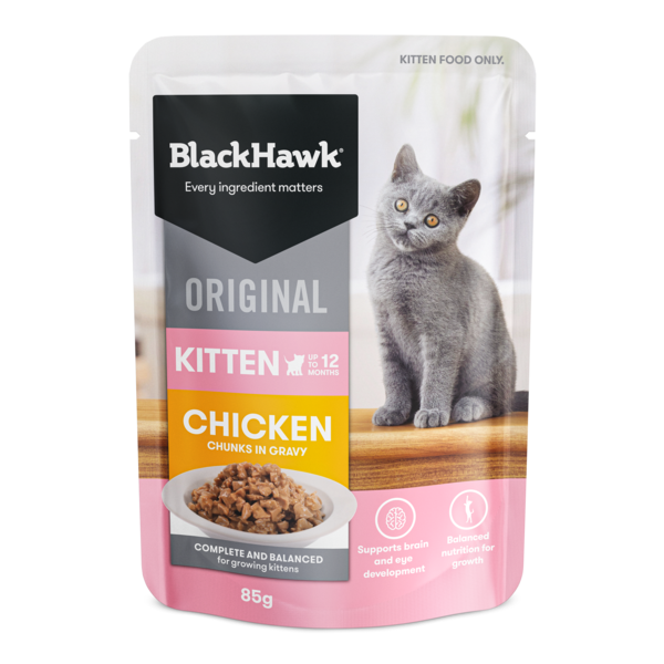 Black Hawk Original Kitten Chicken Gravy 85g