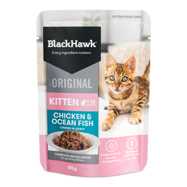 Black Hawk Original Kitten Chicken and Fish Gravy 85g