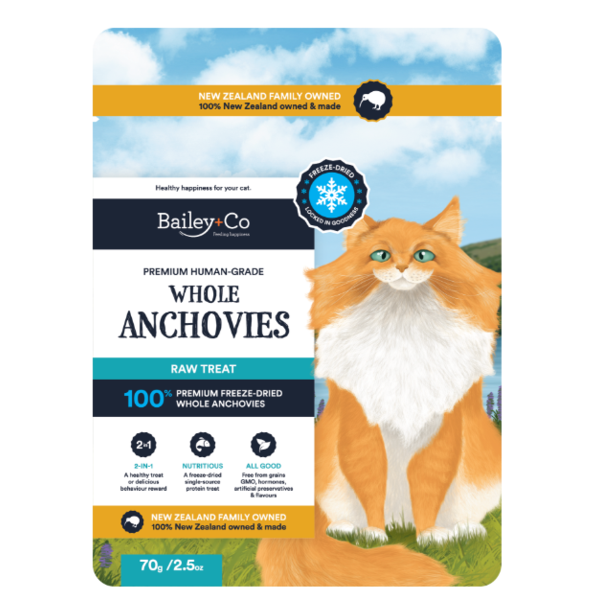 Freeze Dried Anchovy Treat 