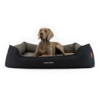 Ezydog 2in1 Ortho Smart Bed