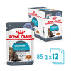 Urinary Care Cat Jelly