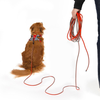 Ezydog Slimline Track n Train Leash