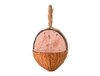 Wild Bird Bug & Berry Coconut Feeder - Limited Edition