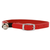 Kitten Safety Collar Leather 