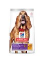 Hill's Science Diet Canine Adult Sensitive Stomach & Skin Large Dry Dog Food