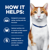 Prescription Diet Feline ONC Care