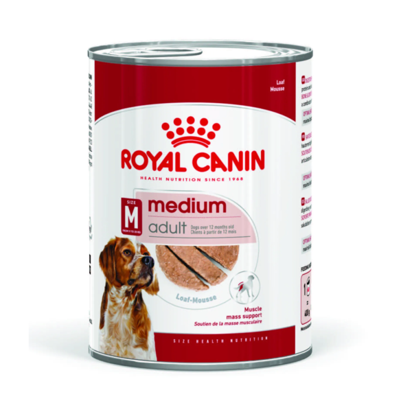 R/C Dog Medium Adult Loaf Can