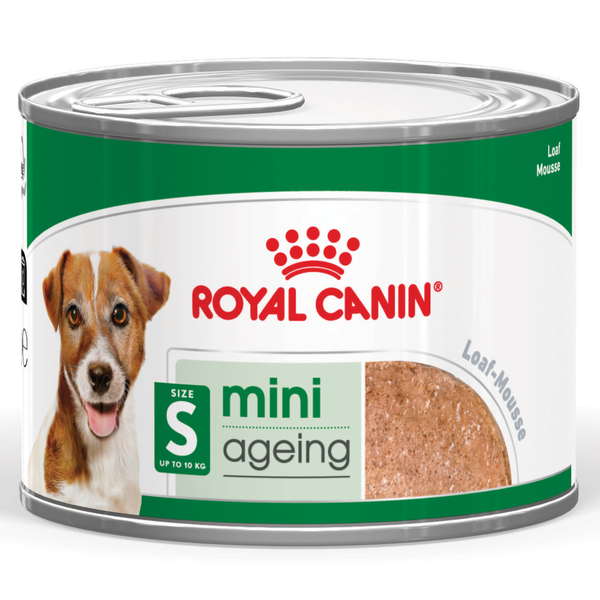 R/C Dog Mini Ageing Loaf Can