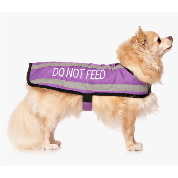 Do Not Feed Dog Coat 