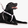 Deaf Dog Strap Harness