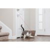 PetSafe Dancing Dot Laser Cat Toy