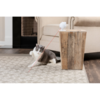 PetSafe Dancing Dot Laser Cat Toy