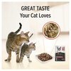 ProPlan Adult Cat Fussy & Beauty Wet Food