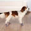 Trixie Non Slip Dog Socks 2pk