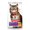 Science Diet Feline Adult Sensitive Stomach & Skin