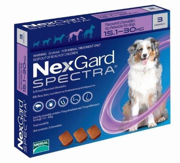 Nexgard dog shop flea treatment