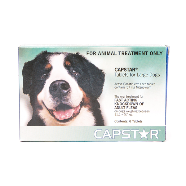 Capstar Large Dog Over 11kg