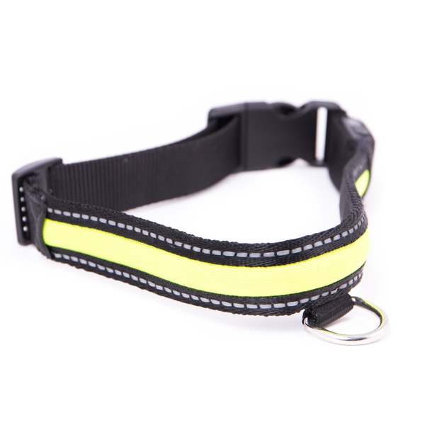 Rechargeable LED Nylon Collar