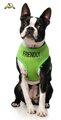 Friendly Dog Vest Harness