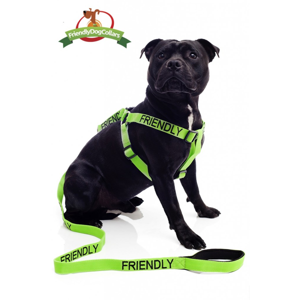 Friendly Dog Strap Harness