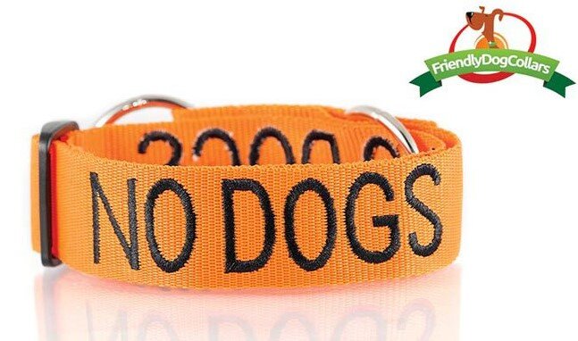 No slip dog collars sale