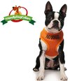 No Dogs Vest Harness