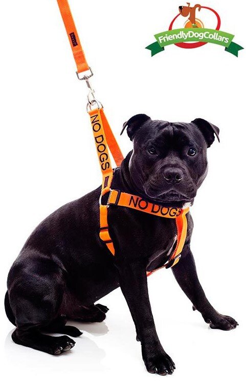 No Dogs Strap Harness Dog Collars Leads Harnesses Harnesses