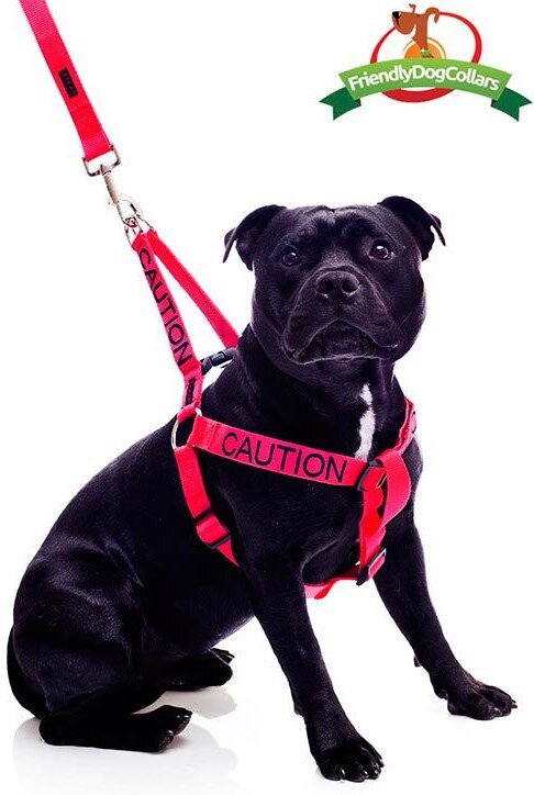 Caution hotsell dog leash