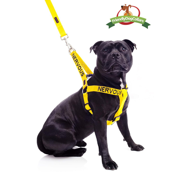 Nervous Dog Strap Harness