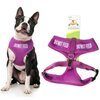 Do Not Feed Dog Vest Harness