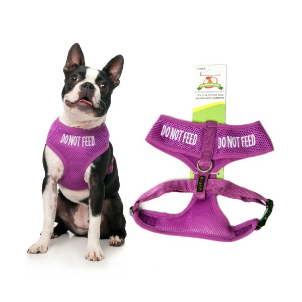 Do Not Feed Dog Vest Harness