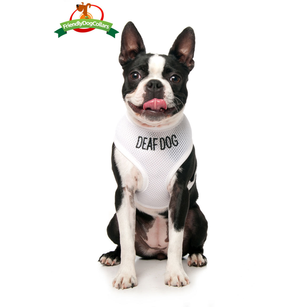 Deaf Dog Vest Harness