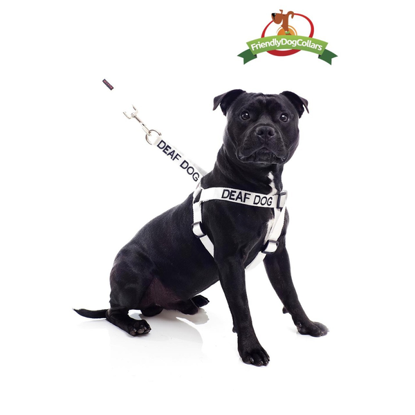 Deaf Dog Strap Harness