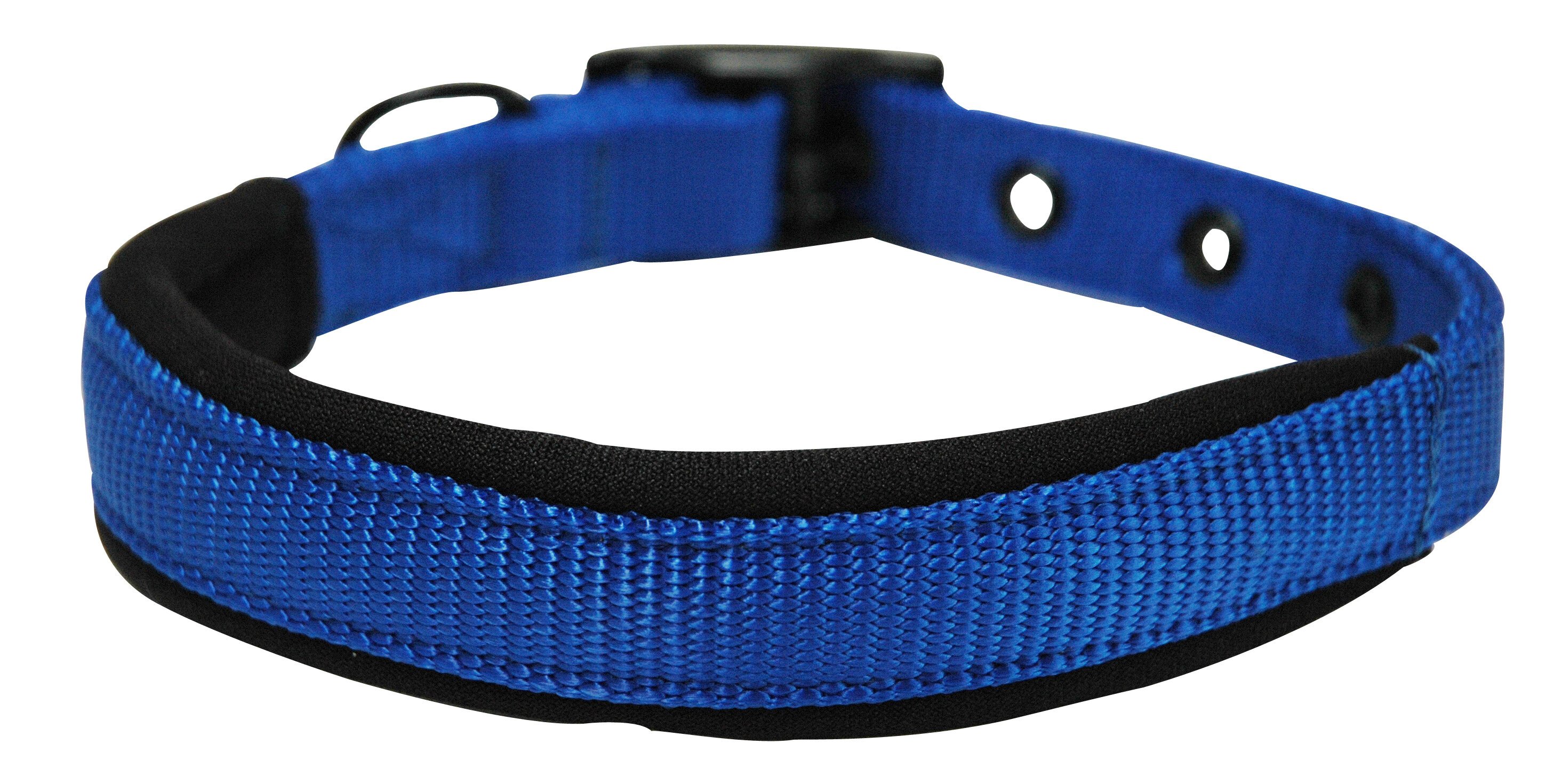 Foam dog collar best sale