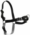 Gentle Leader Harness