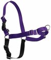 Gentle Leader Harness