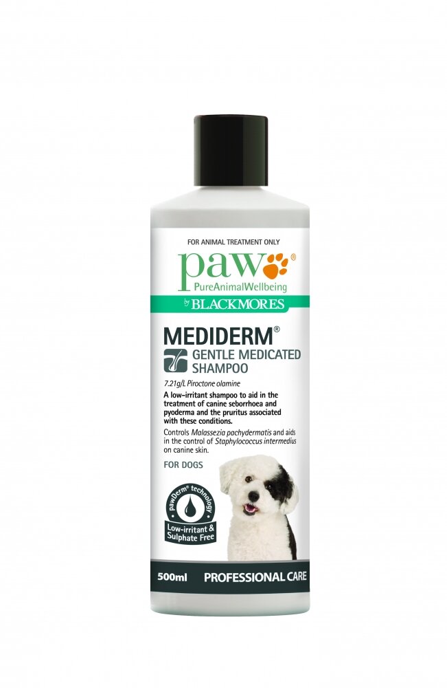 Paw shop mediderm shampoo