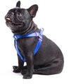 Touchdog Harness