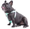 Touchdog Harness