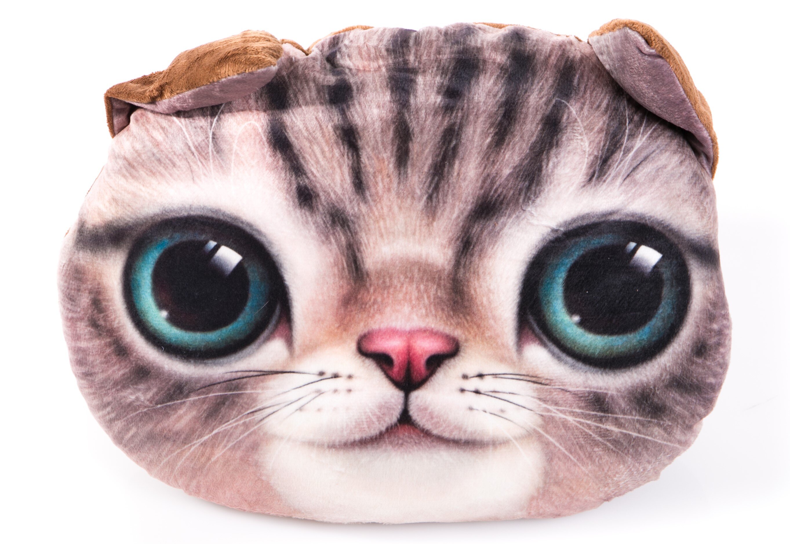 cat picture pillows