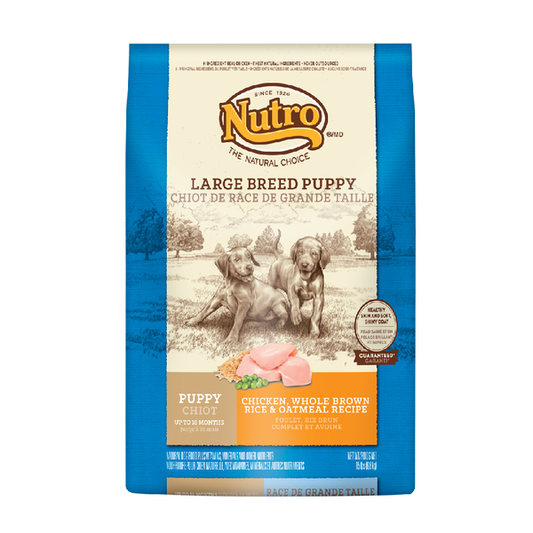 Nutro Puppy Large Breed Chicken & Rice