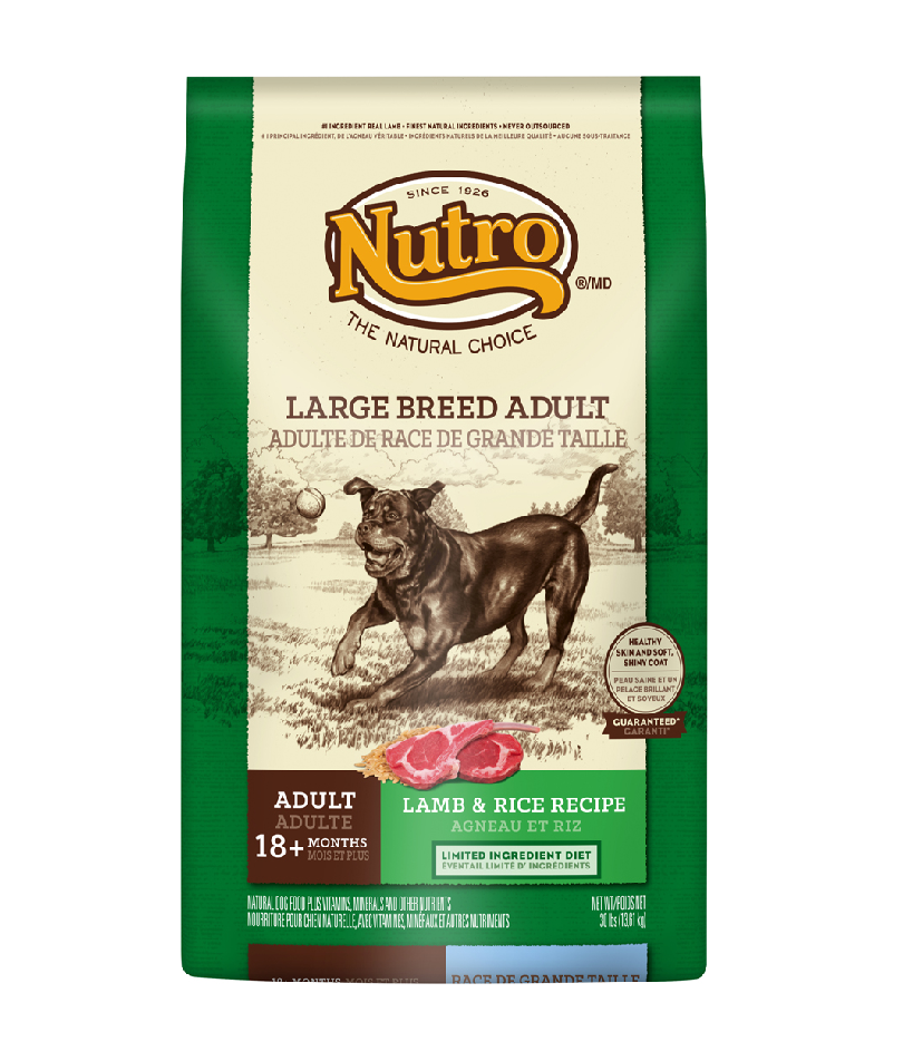 Nutro lamb and clearance rice puppy large breed